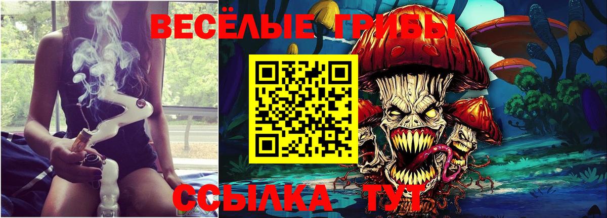 Галлюциногенные грибы прущие грибы Славянск-на-Кубани